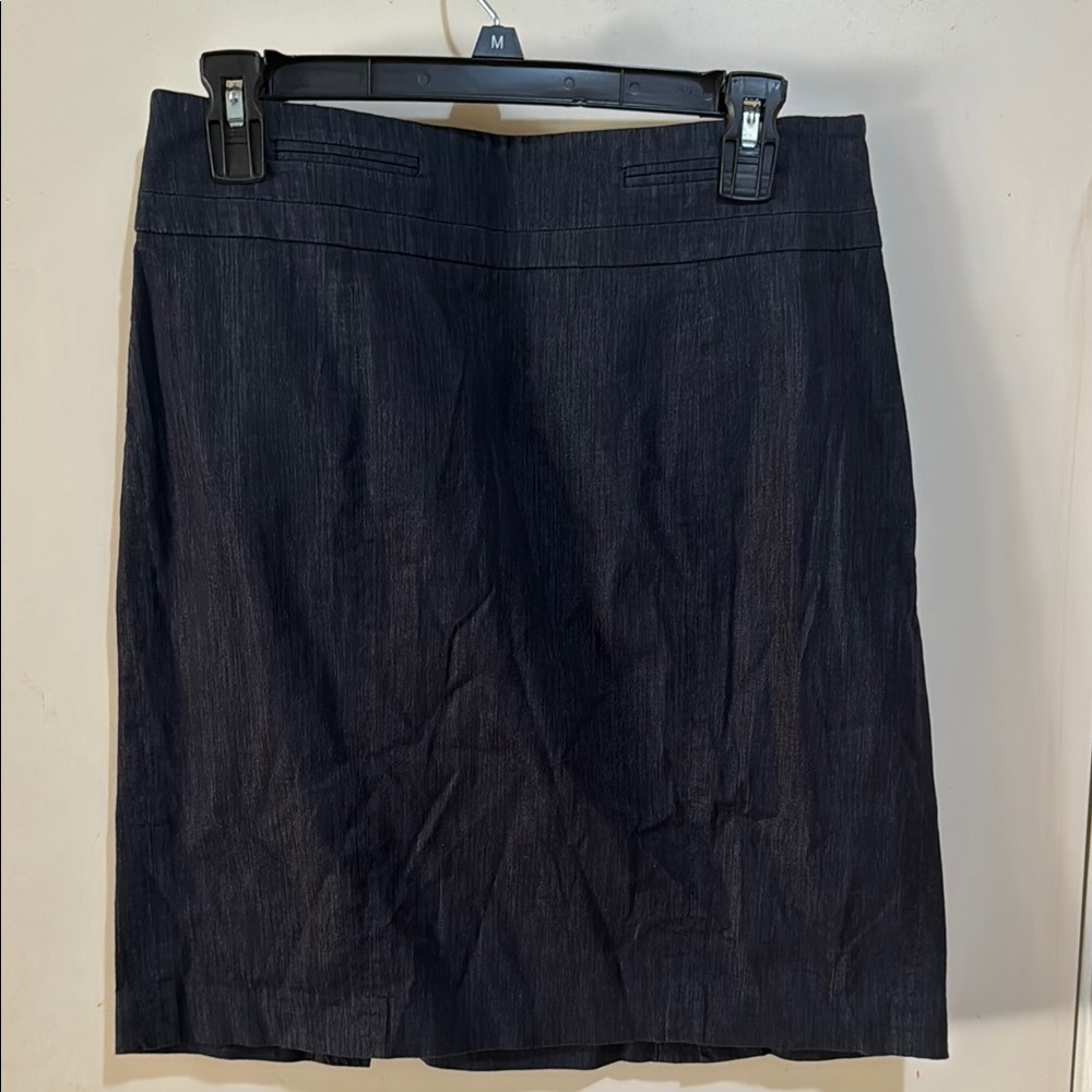 Navy Blue Ann Taylor Loft Petites Size 10P Classic Pencil Skirt!